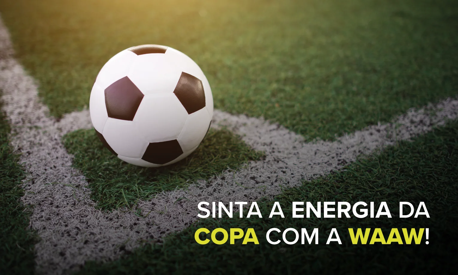 Paixão nacional, o futebol ao vivo é energia e emoção!